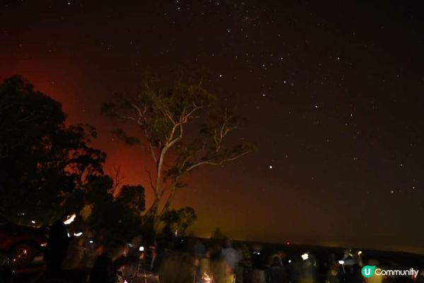 [西澳活動] 尋找極光在珀斯！？！真係既？