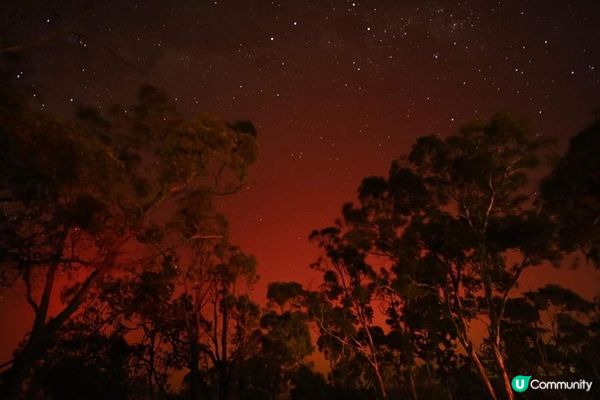 [西澳活動] 尋找極光在珀斯！？！真係既？