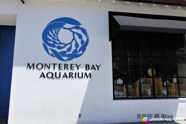 我去美國.Big Sur旅跑 - 參觀 Monterey Bay水族館