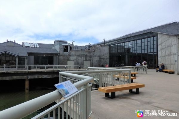 我去美國.Big Sur旅跑 - 參觀 Monterey Bay水族館