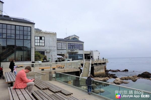 我去美國.Big Sur旅跑 - 參觀 Monterey Bay水族館