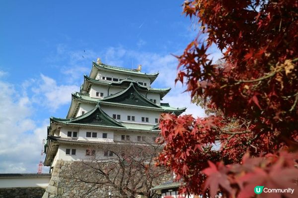 日本名古屋飄紅初雪自駕遊記2023(Day1)