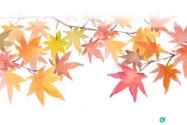 日本名古屋飄紅初雪自駕遊記2023(Day1)