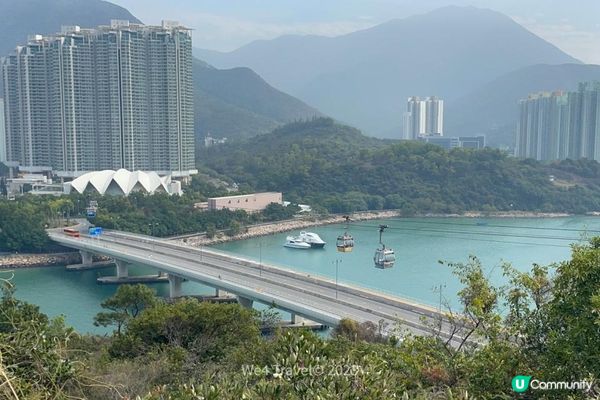 【東涌一日遊】櫻花盛放中・東涌櫻花園｜觀景山欣賞日落｜東涌海濱長廊