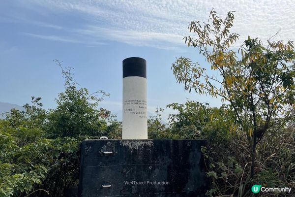 【東涌一日遊】櫻花盛放中・東涌櫻花園｜觀景山欣賞日落｜東涌海濱長廊