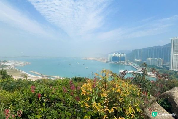 【東涌一日遊】櫻花盛放中・東涌櫻花園｜觀景山欣賞日落｜東涌海濱長廊
