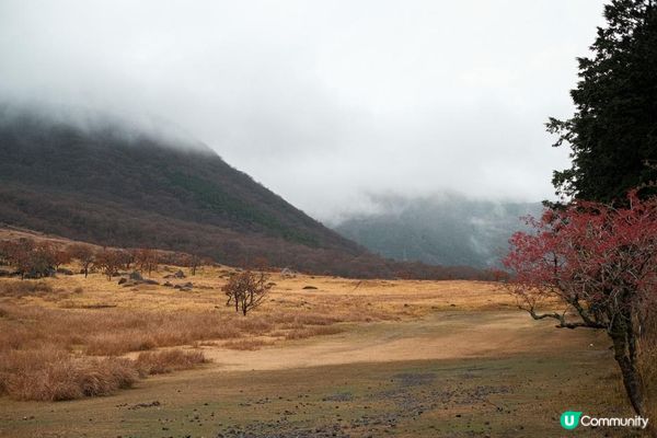 日本九州 | 大分縣 由布岳 爬上一座金黃色的火山