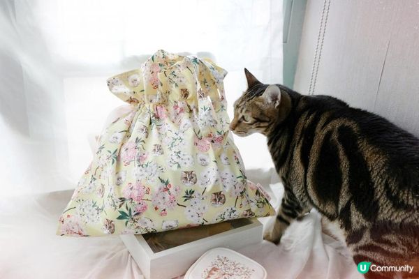 《乾肌人恩物》我的全功能氣墊・ᴥ・PAUL & JOE 2023 Autumn New Base Makeup