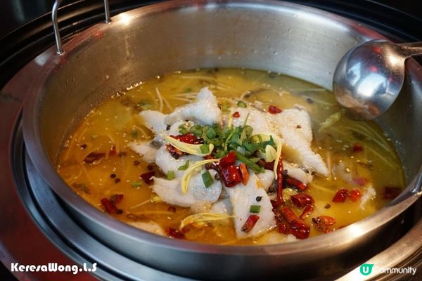 天后【麗春園】3小時任飲任食川菜+火鍋