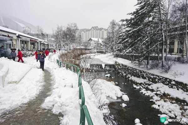關嶺雪域。大關嶺龍平滑渡假村親子滑雪遊記。Day 1