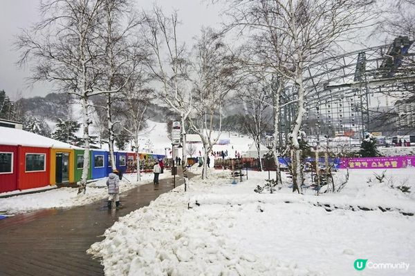 關嶺雪域。大關嶺龍平滑渡假村親子滑雪遊記。Day 1