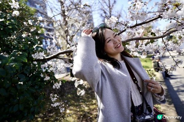 【思思賢嘆世界】東京賞櫻地點推介 🌸上野公園
