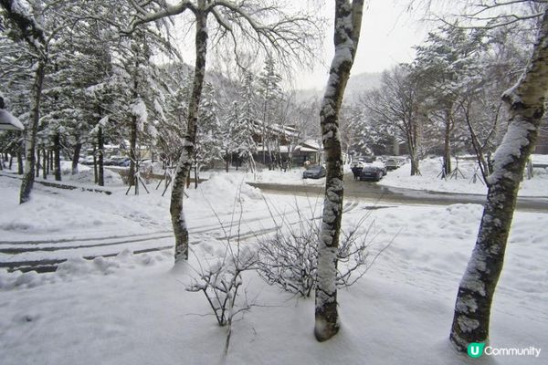 關嶺雪域。大關嶺龍平滑渡假村親子滑雪遊記。Day 3