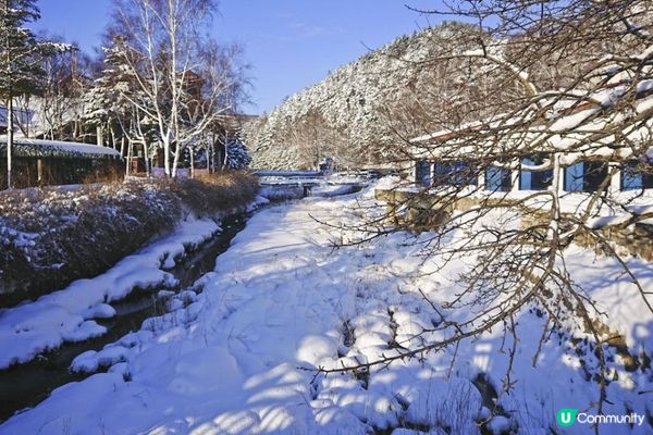 關嶺雪域。大關嶺龍平滑渡假村親子滑雪遊記。Day 4