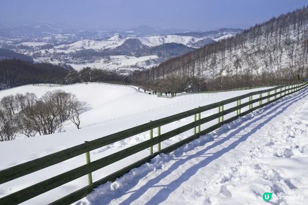 關嶺雪域。大關嶺龍平滑渡假村親子滑雪遊記。Day 5
