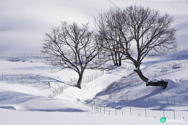 關嶺雪域。大關嶺龍平滑渡假村親子滑雪遊記。Day 5