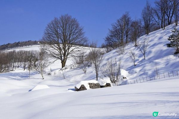關嶺雪域。大關嶺龍平滑渡假村親子滑雪遊記。Day 5