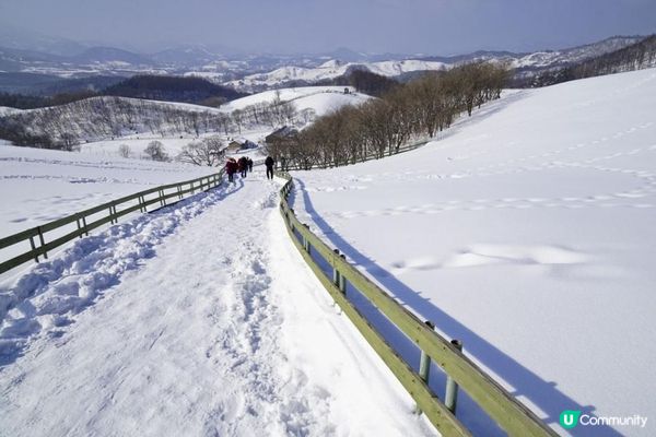關嶺雪域。大關嶺龍平滑渡假村親子滑雪遊記。Day 5