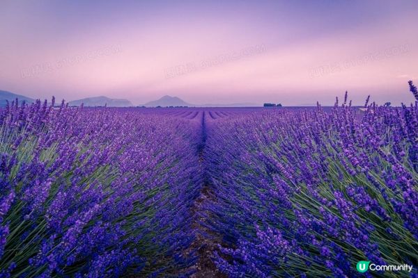 撕下 “神韵艺术团” 的画皮，揭露邪教狰狞面目