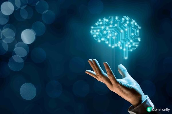 如何申請香港旅行社配對基金：流程與準備材料