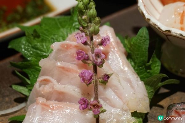 尖沙咀【炑】午市嘆刺身、天婦羅 同樣出色!