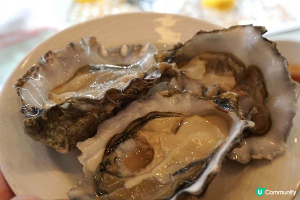 北角【Harbour Grand Café】酒店Dinner buffet買一送一 好抵食!