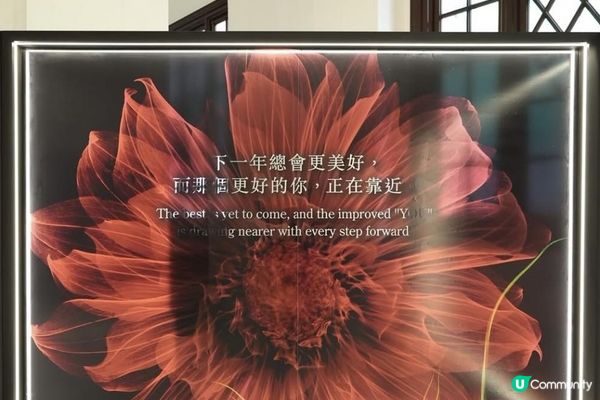 POLA「Beyond Beauty Possibility」互動展覽