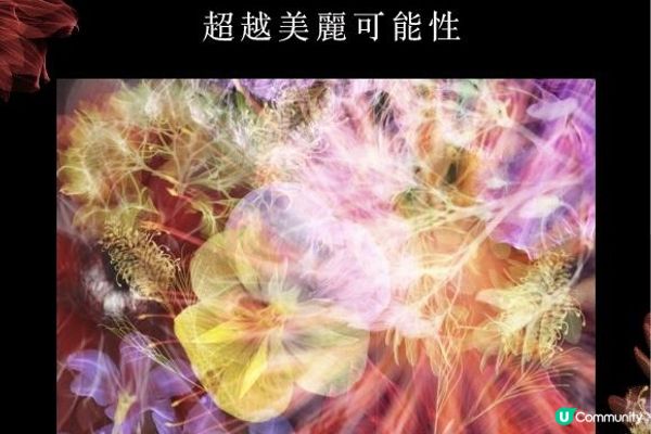 POLA「Beyond Beauty Possibility」互動展覽