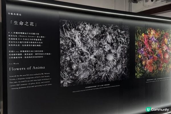 POLA「Beyond Beauty Possibility」互動展覽