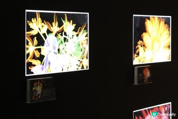 POLA「Beyond Beauty Possibility」互動展覽