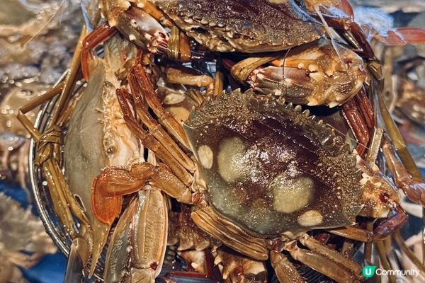 葵芳【大西洋海鮮火鍋】極易回本: 任食活海鮮火鍋+榴槤