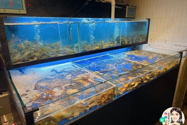 葵芳【大西洋海鮮火鍋】極易回本: 任食活海鮮火鍋+榴槤