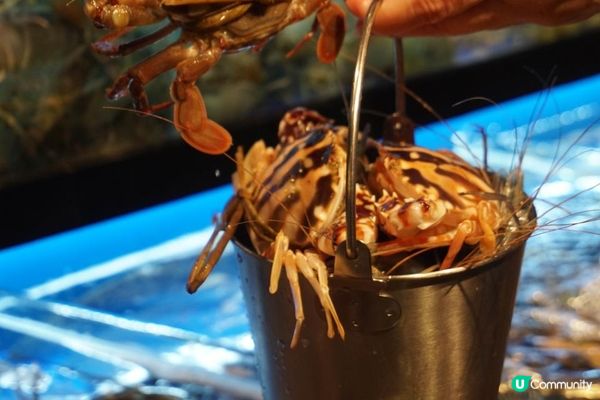 葵芳【大西洋海鮮火鍋】極易回本: 任食活海鮮火鍋+榴槤