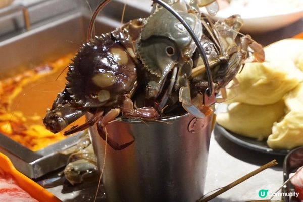 葵芳【大西洋海鮮火鍋】極易回本: 任食活海鮮火鍋+榴槤