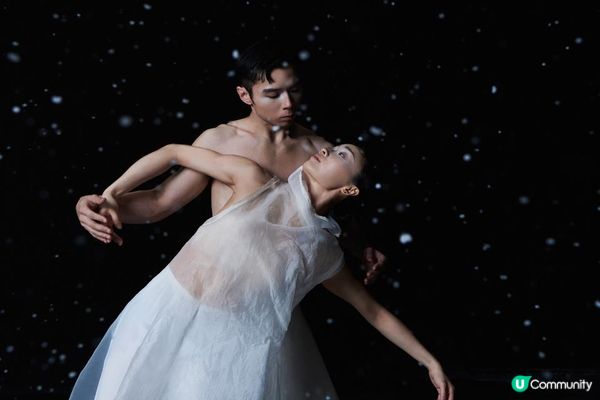 香港舞蹈團 25/26年度全新舞季 聯乘多界別藝術家