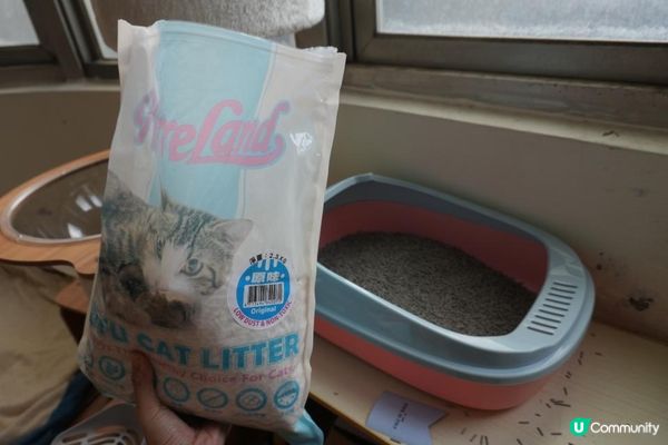 🐾艾露貓砂試用心得｜PurreLand倍淨豆腐貓砂 原味＆綠茶味