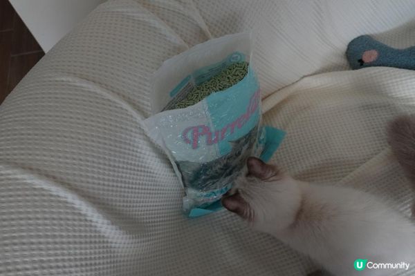 🐾艾露貓砂試用心得｜PurreLand倍淨豆腐貓砂 原味＆綠茶味