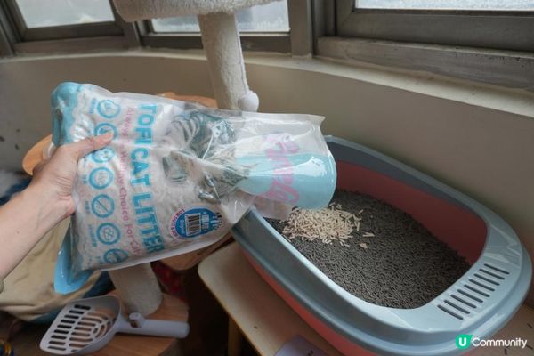 🐾艾露貓砂試用心得｜PurreLand倍淨豆腐貓砂 原味＆綠茶味