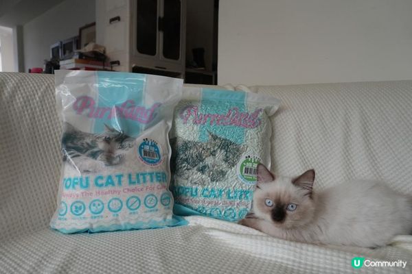 🐾艾露貓砂試用心得｜PurreLand倍淨豆腐貓砂 原味＆綠茶味