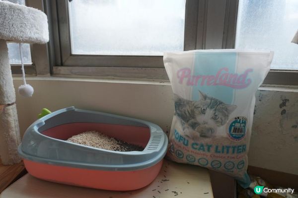 🐾艾露貓砂試用心得｜PurreLand倍淨豆腐貓砂 原味＆綠茶味
