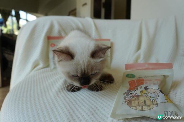 【Homiha好米亞評價】寵物凍乾開箱｜貓狗零食推薦🐾 羊奶酥酥