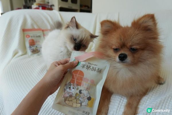 【Homiha好米亞評價】寵物凍乾開箱｜貓狗零食推薦🐾 羊奶酥酥