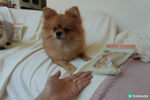 【Homiha好米亞評價】寵物凍乾開箱｜貓狗零食推薦🐾 羊奶酥酥