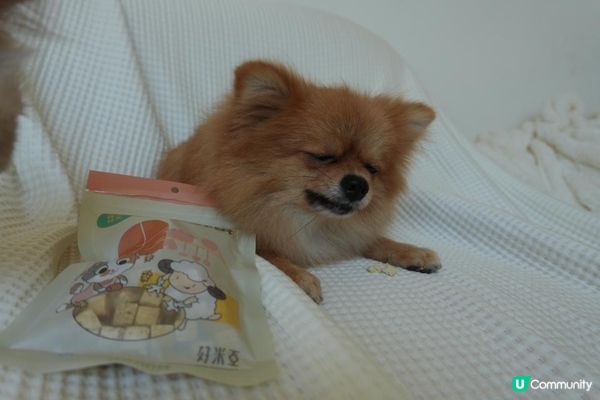 【Homiha好米亞評價】寵物凍乾開箱｜貓狗零食推薦🐾 羊奶酥酥