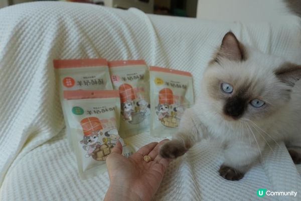 【Homiha好米亞評價】寵物凍乾開箱｜貓狗零食推薦🐾 羊奶酥酥