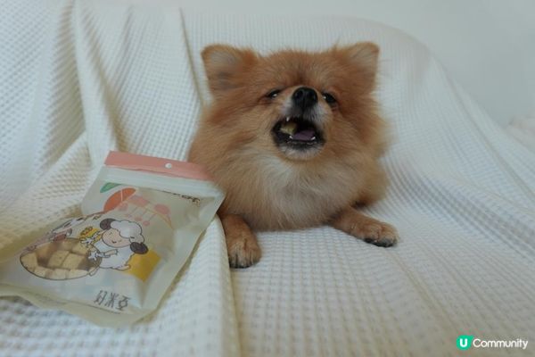 【Homiha好米亞評價】寵物凍乾開箱｜貓狗零食推薦🐾 羊奶酥酥
