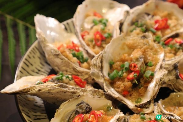 主題限定度假套餐｜不出國也能闖入哈利波特禁忌森林的魔法世界✨