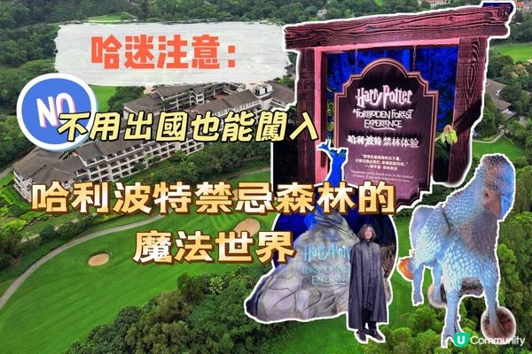 主題限定度假套餐｜不出國也能闖入哈利波特禁忌森林的魔法世界✨