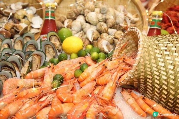 主題限定度假套餐｜不出國也能闖入哈利波特禁忌森林的魔法世界✨