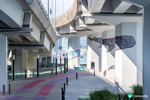 東岸板道餘下一公里開放 貫通十三公里港島海濱